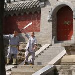 International Martial Arts & Cultural Center