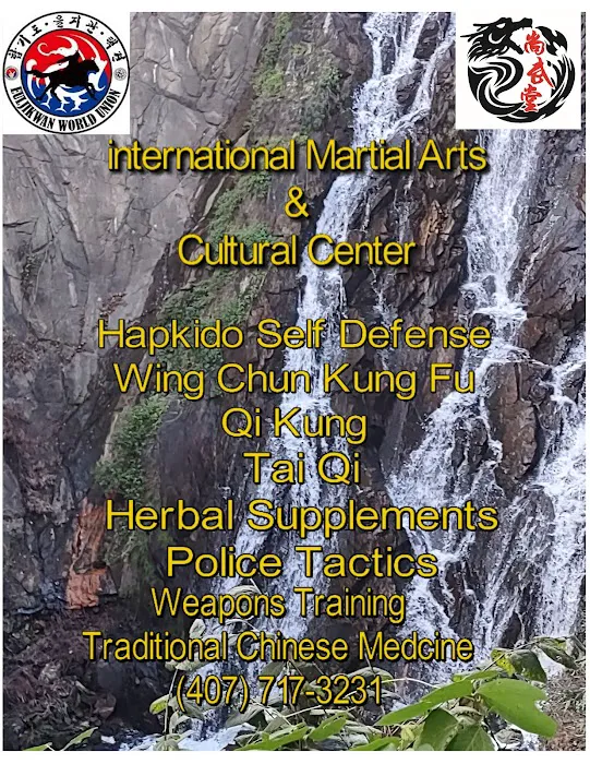 International Martial Arts & Cultural Center Picture 3