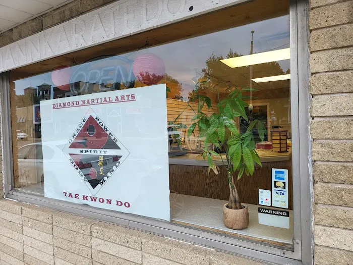 Diamond Martial Arts & Fitness - LLC Picture 5