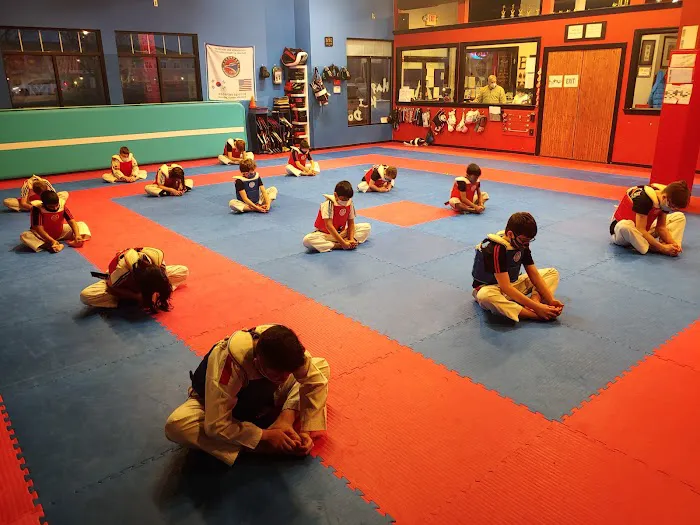 ACE TAEKWONDO Picture 1