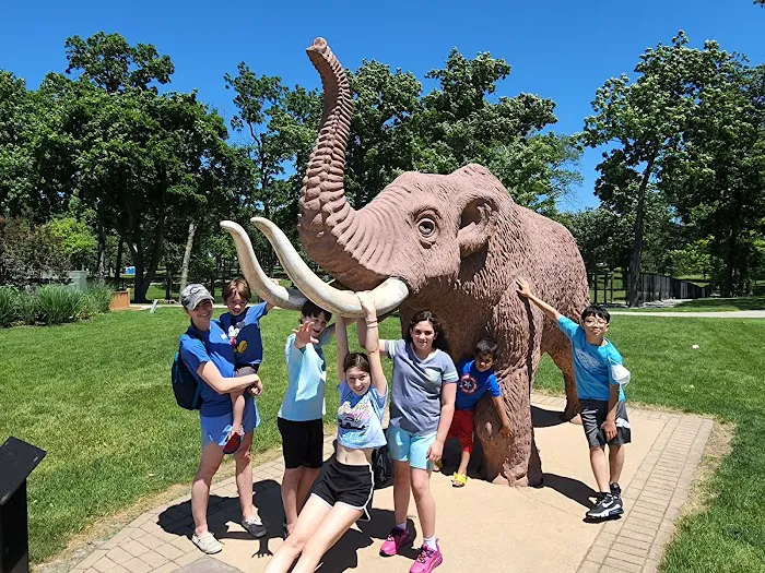 ACE TAEKWONDO Picture 4