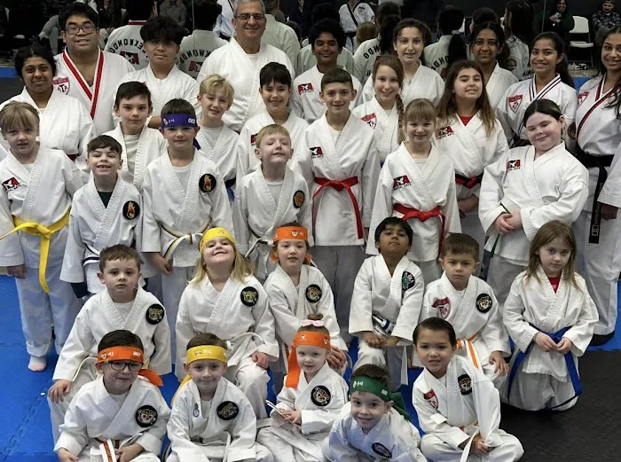 Rise Up Martial Arts Picture 3