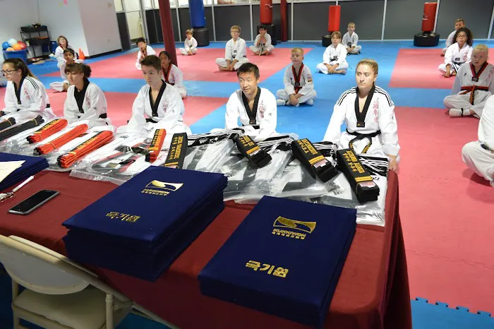 OTAUSA - Taekwondo (Buffalo Grove) Picture 8