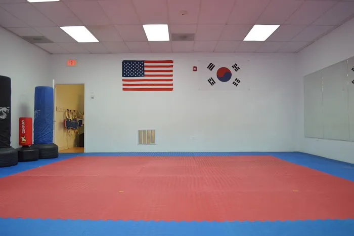 OTAUSA - Taekwondo (Buffalo Grove) Picture 5