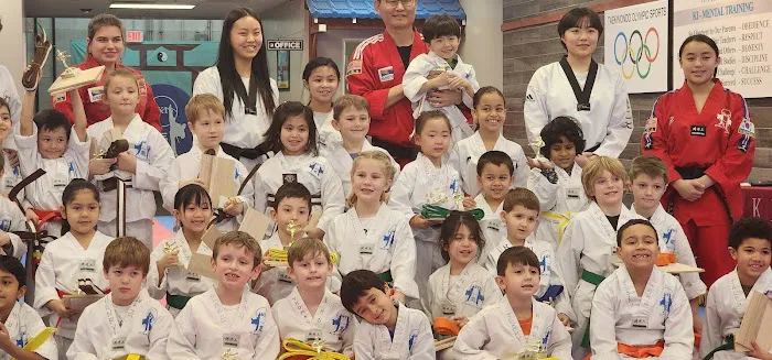 KI Taekwondo Libertyville Picture 5