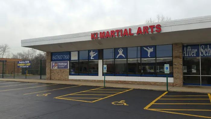 KI Martial Arts Picture 1