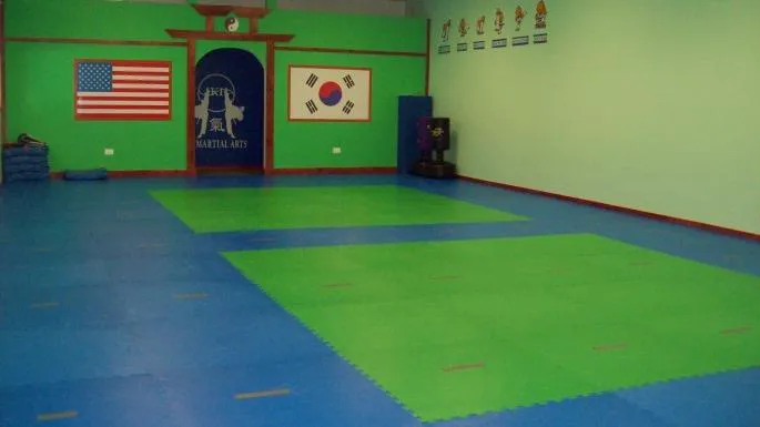 KI Martial Arts Picture 6