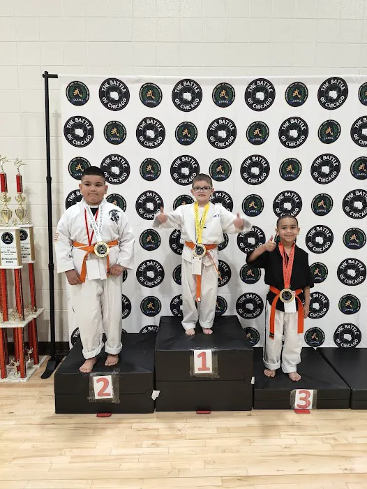 ACTION Martial Arts | Tae Kwon Do | Jiu Jitsu | After School Program Picture 3