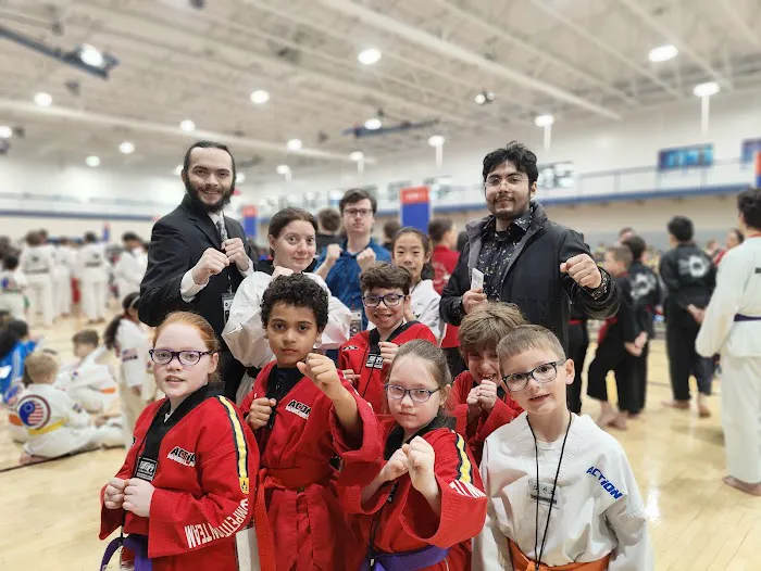 ACTION Martial Arts | Tae Kwon Do | Jiu Jitsu | After School Program Picture 7