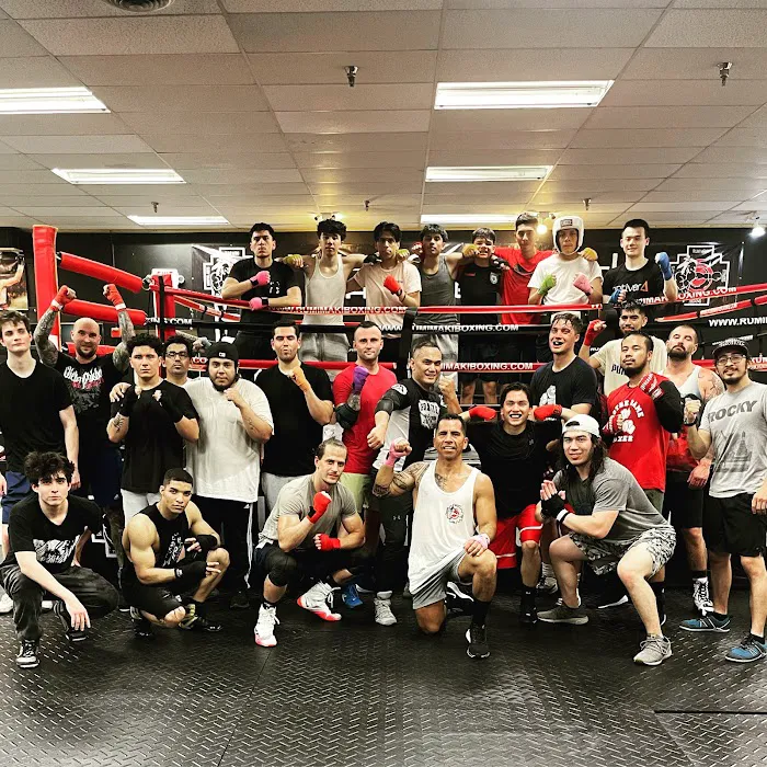 Rumi Maki Boxing & Martial Arts Picture 2