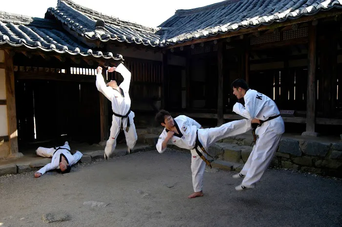 Jang's Taekwondo Studio Picture 9