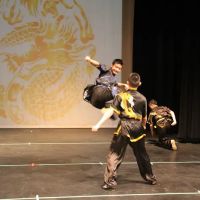 Soaring Eagle Kung Fu - Martial Arts School ico