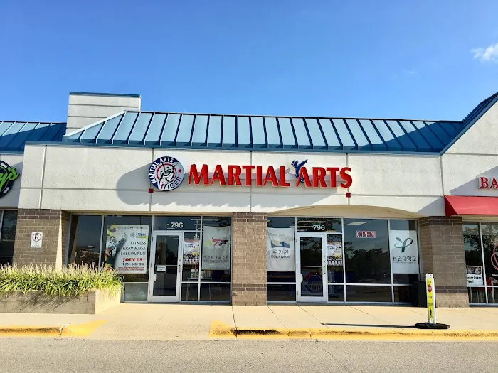 iTiger Martial Arts | TaeKwonDo Picture 7