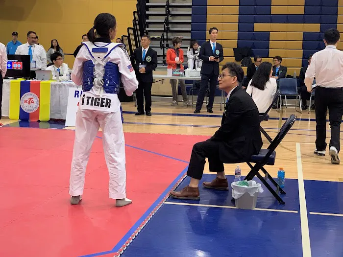 iTiger Martial Arts | TaeKwonDo Picture 2