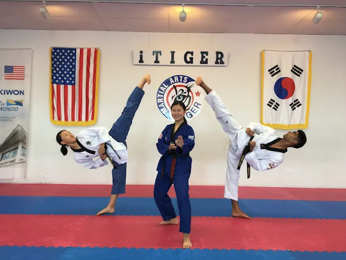 iTiger Martial Arts | TaeKwonDo Picture 9