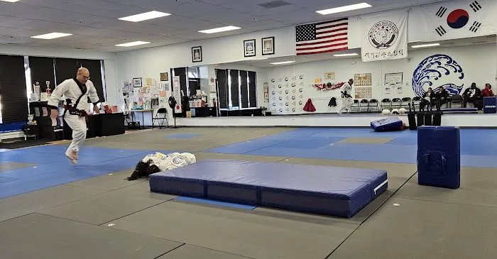 Wave Martial Arts Picture 4