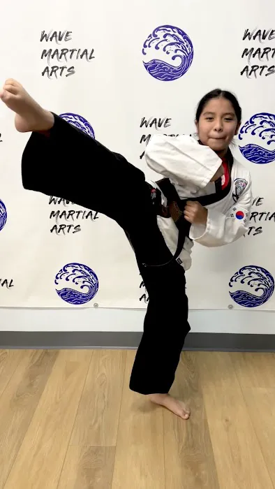 Wave Martial Arts Picture 8
