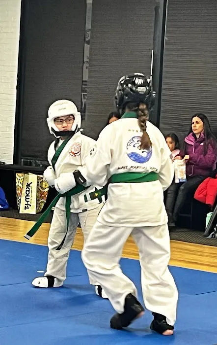 Wave Martial Arts Picture 9