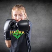 Premier Martial Arts Fox Valley ico
