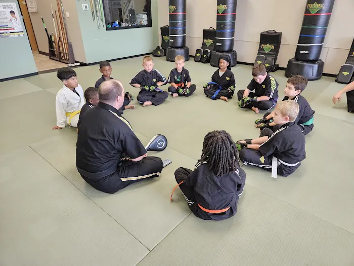 Premier Martial Arts Fox Valley Picture 5