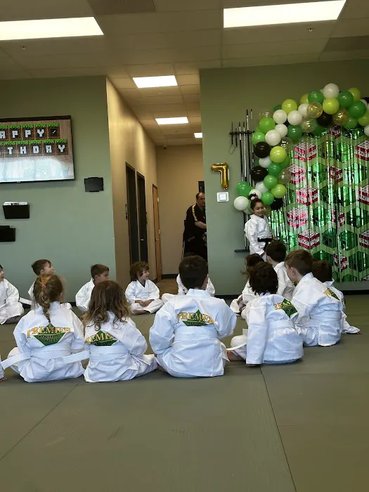 Premier Martial Arts Fox Valley Picture 3
