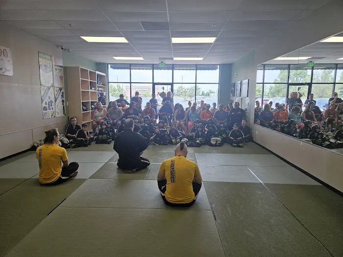 Premier Martial Arts Fox Valley Picture 9