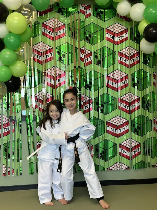 Premier Martial Arts Fox Valley Picture 7