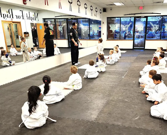 National Karate & Martial Arts South Elgin Picture 1