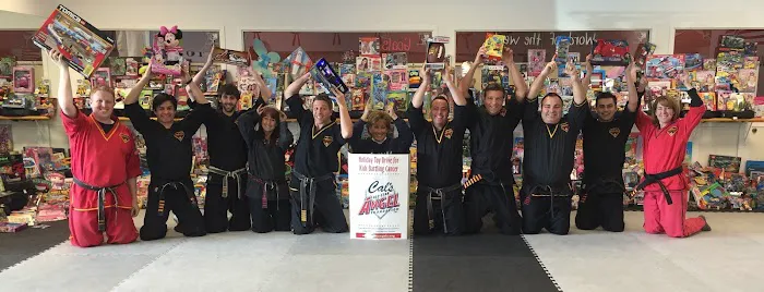 National Karate & Martial Arts South Elgin Picture 3