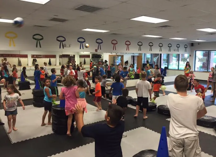 National Karate & Martial Arts South Elgin Picture 10