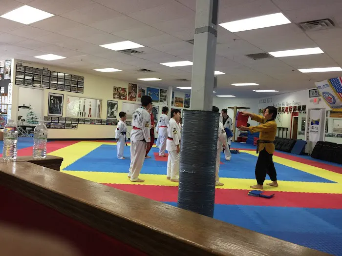 Jang's Taekwondo Picture 2