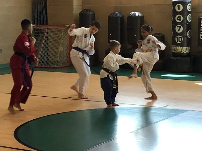 Midwest Academy Of TaeKwon-Do, Inc. Picture 3