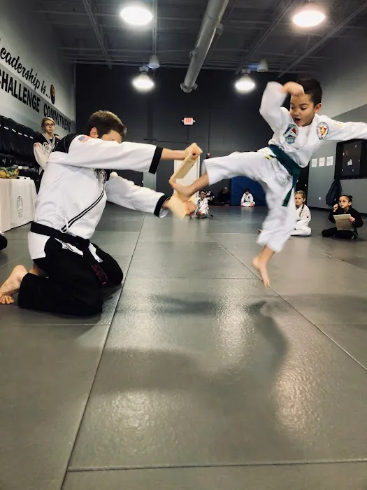 Kyuki-Do Martial Arts of Elgin Picture 5