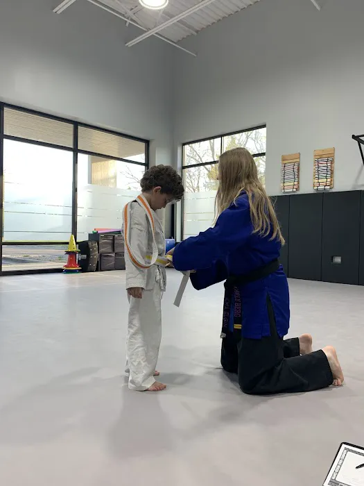 Kyuki-Do Martial Arts of Elgin Picture 4