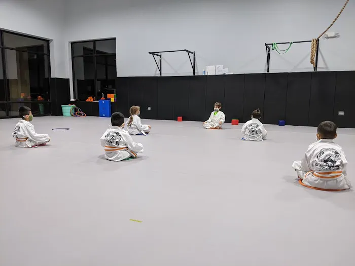 Kyuki-Do Martial Arts of Elgin Picture 6
