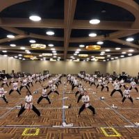 Dominion MMA ico