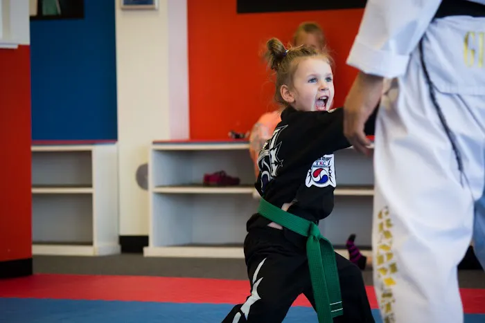 Taekwondo Korea Center Picture 4