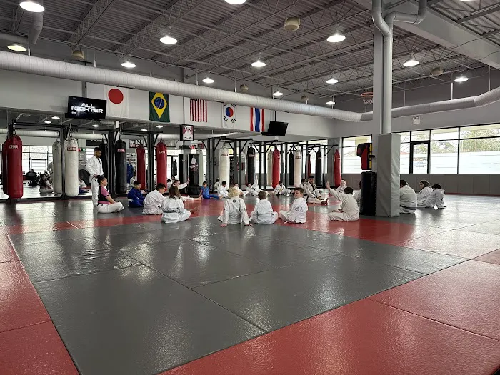 Fusion Academy of Martial Arts Picture 4