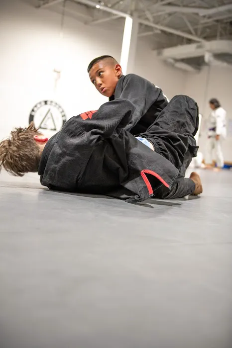 Lake County Brazilian Jiu-Jitsu Picture 2