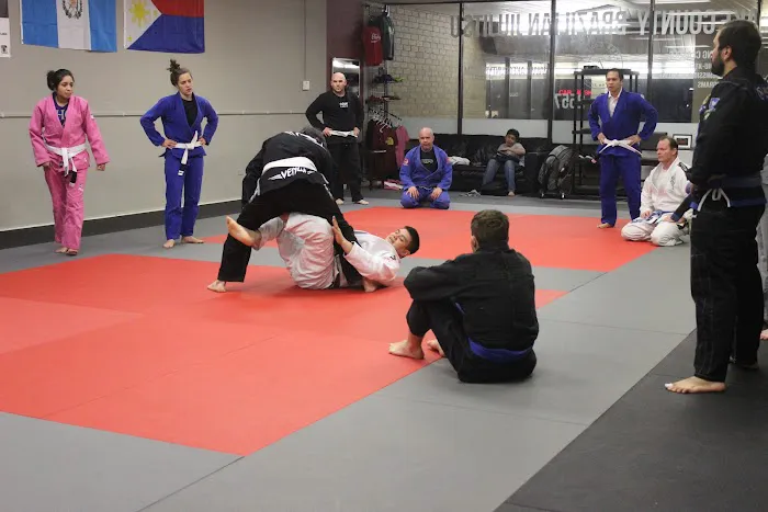 Lake County Brazilian Jiu-Jitsu Picture 5
