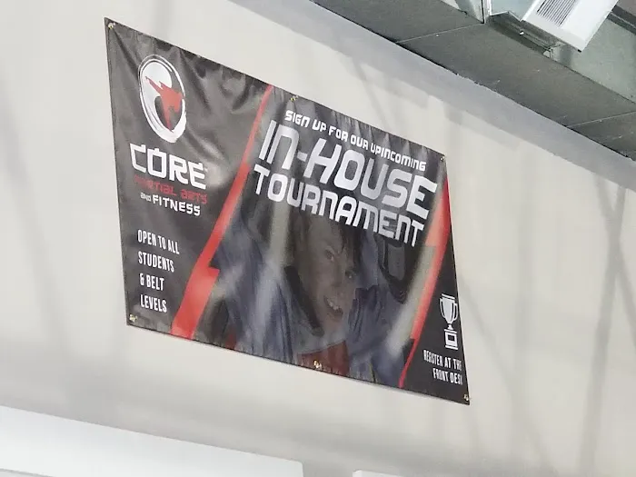 Core Martial Arts and Fitness Inc Picture 4