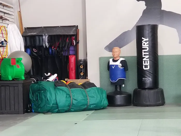 Core Martial Arts and Fitness Inc Picture 1