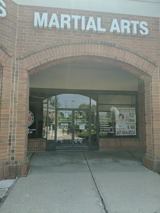 Dragon K Martial Arts Lake Bluff Picture 2