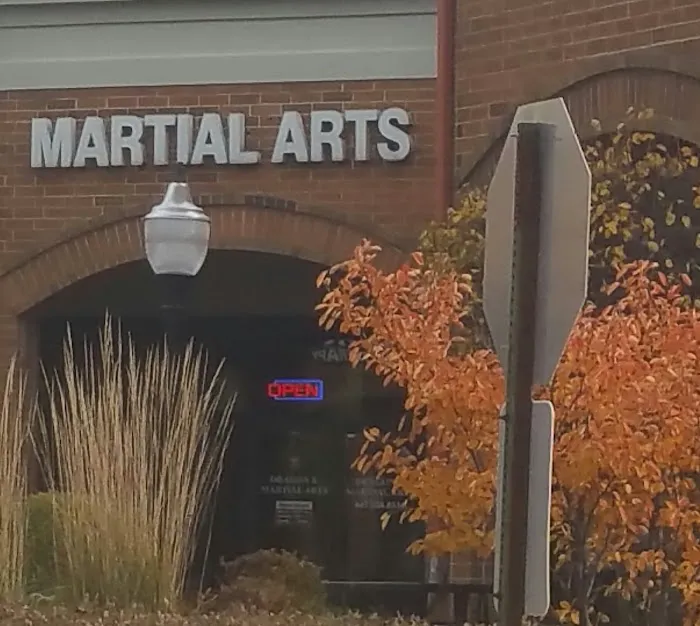 Dragon K Martial Arts Lake Bluff Picture 3