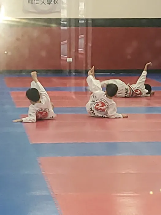 Dragon K Martial Arts Picture 4