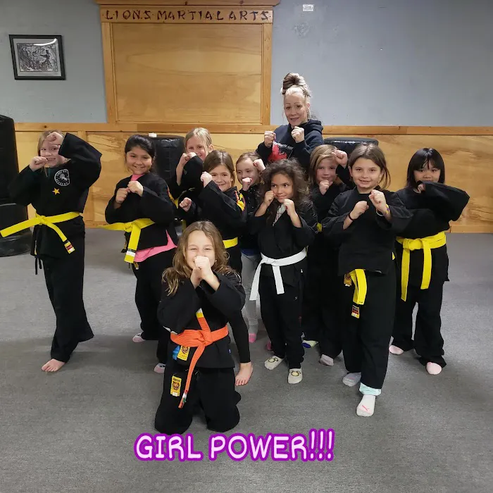 Lions Martial Arts Academy Picture 1