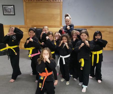 Lions Martial Arts Academy