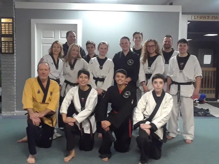 Lions Martial Arts Academy Picture 2