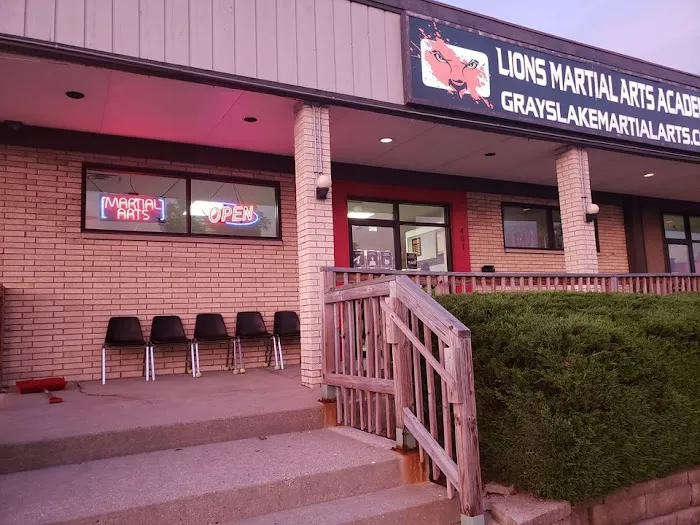Lions Martial Arts Academy Picture 4