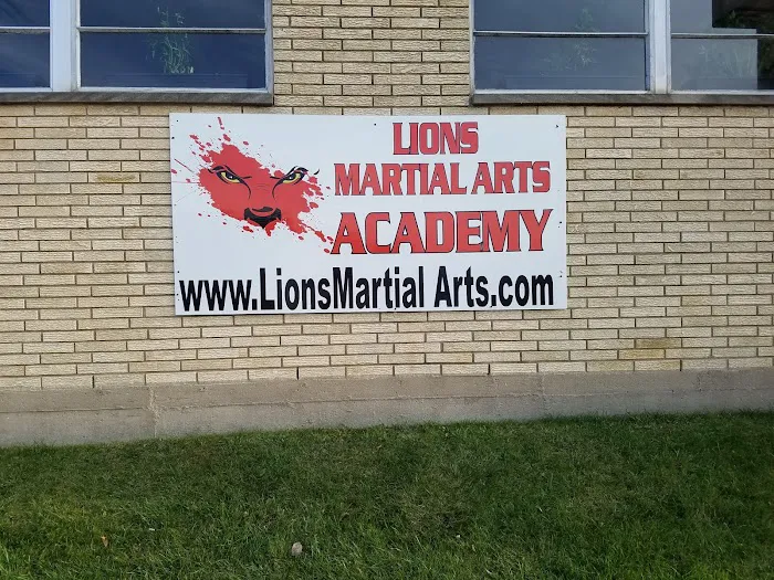 Lions Martial Arts Academy Picture 8